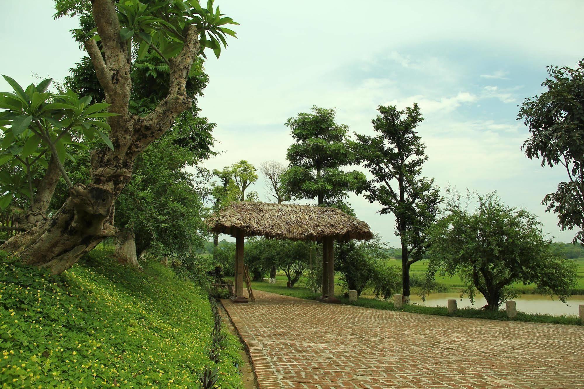 Moon Garden Homestay Son Tay Экстерьер фото